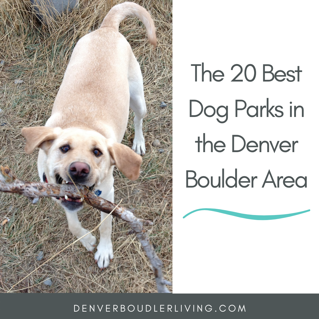 The 20 Best Dog Parks in the Denver / Boulder Area